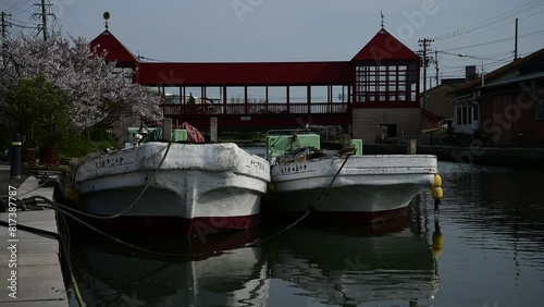 桜咲く内川に架かる東橋 （富山県射水市, 2024年4月） photo