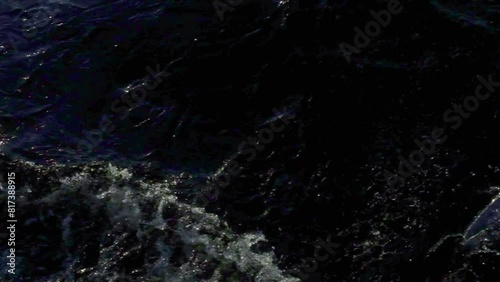 Water Splash Isolated On The Black background