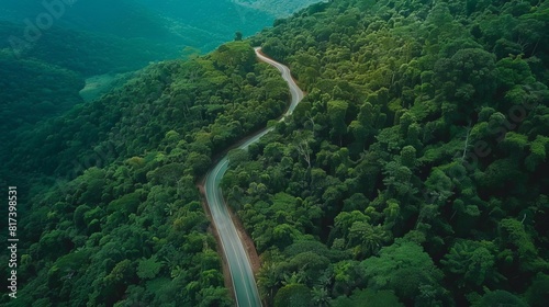 aerial view of winding mountain road through lush green forest scenic landscape drone photography