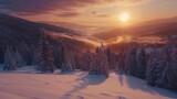 beautiful sunset of a snow covered pine forest
