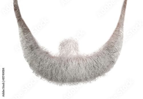 Stylish gray beard isolated on white. Facial hair photo