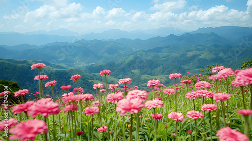 Magic pink flowers on summer mountain