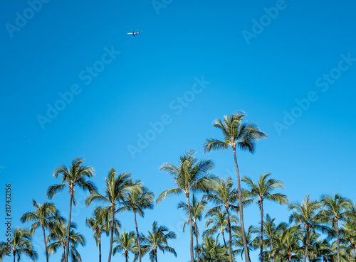 Palm Trees Against Blue Sky.