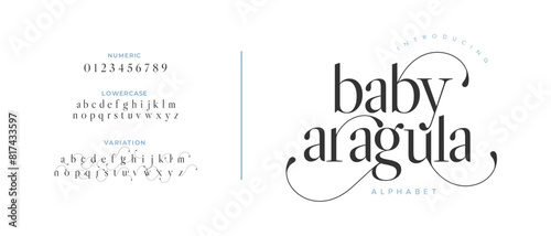 Baby elegant font alphabet uppercase lowercase and number. Classic lettering minimal fashion designs. Typography modern serif fonts regular decorative vintage concept. Vector illustration
