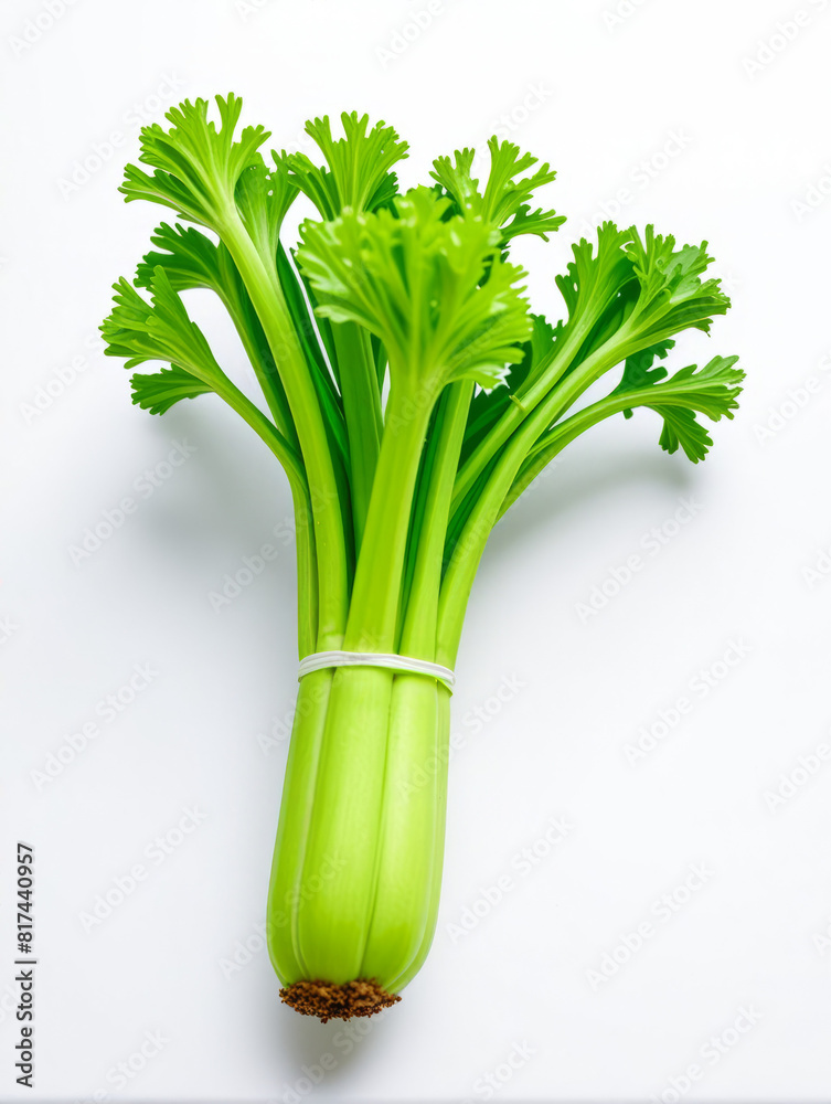 Fototapeta premium Celery