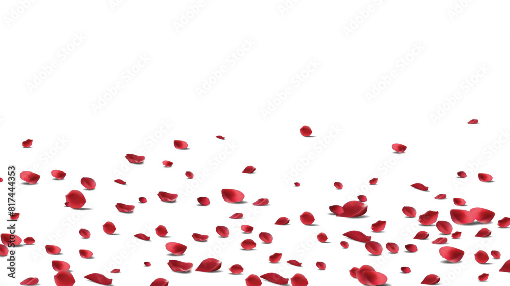 Floating red rose petal isolated on white. Background concept for love greetings on valentines day and mothers day. Space for text. rose for love Beautiful floral Floating red rose petal isolated on white. Background concept for love greetings on valentines day and mothers day. Space for text. rose for love Beautiful floral