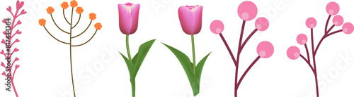 Set of pink tulip flowers on transparent background. Vector illustration. #817444384