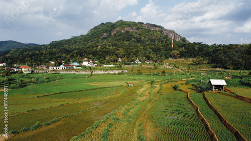 Panorama of the Nglanggeran Ancient Volcano ecotourism area in the afternoon using a drone. Aerial photo of an ancient stone hill covered with lush trees and surrounded by rice fields and countryside