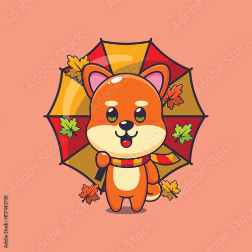 Cute shiba inu with umbrella at autumn season