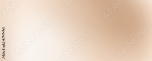 Smooth beige wave gradient background. Soft neutral liquid wallpaper. Silk ecru color texture for banner, flyer, presentation, graphic design. Abstract blurred wavy backdrop cover. Vector illustration photo