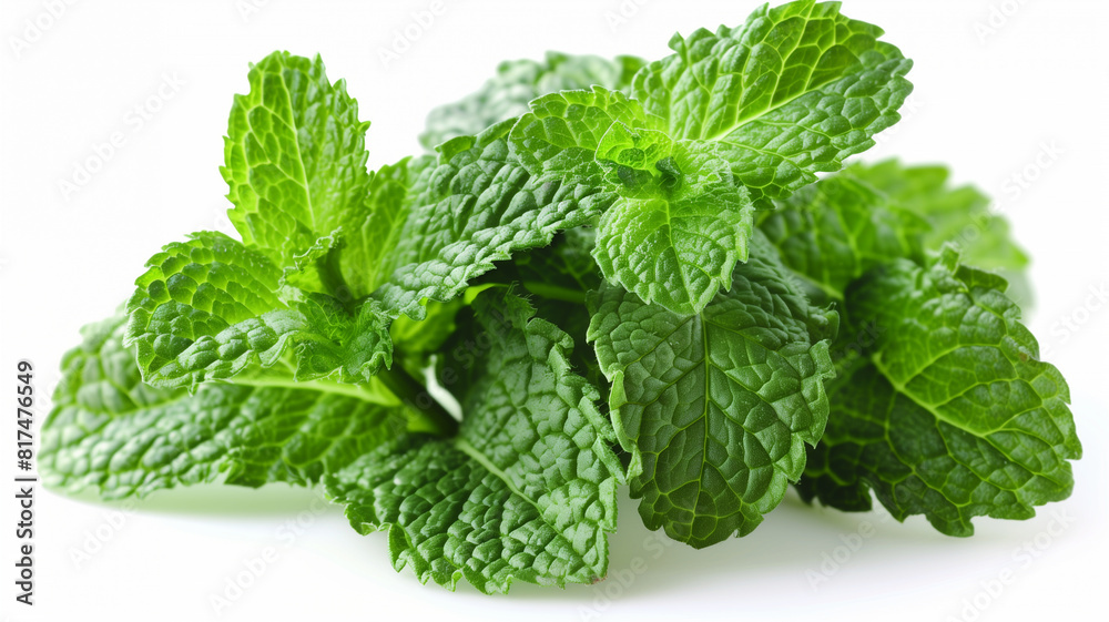 Mint isolated on white background. Mint isolated on white background.