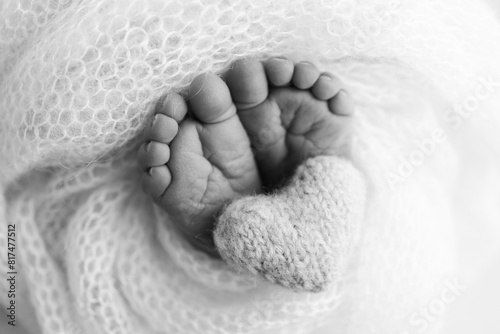 The tiny foot of a newborn baby. Soft feet of a new born in a wool blanket. Close up of toes, heels and feet of a newborn. Knitted heart in the legs of a baby. Black and white Macro photography. 