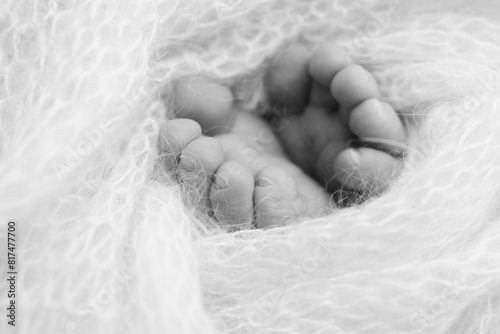 The tiny foot of a newborn baby. Soft feet of a new born in a wool blanket. Close up of toes, heels and feet of a newborn. Black and white Macro photography.