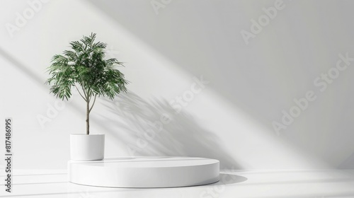 3D rendering of a white empty podium platform with a plant on the left side and a blank wall background for a product presentation mock up  in the minimalist style.