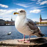 seagull bird animal copenhagen,A seagull spreads it's wings against the wind along the coasline.,generate ai
