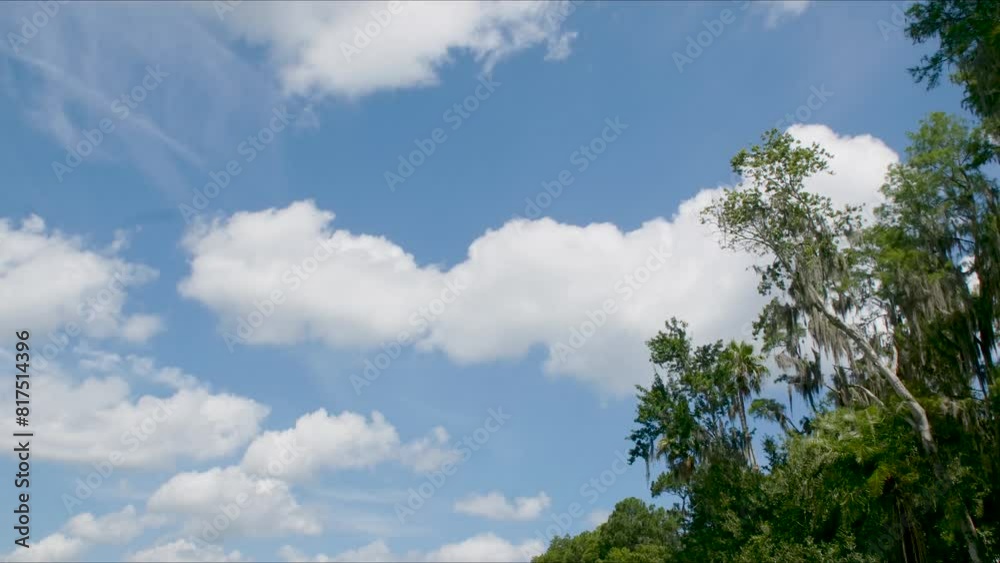 Timelapse of Florida blue sky and clouds rolling by with tropical vegetation Timelapse of Florida blue sky and clouds rolling by with tropical vegetation