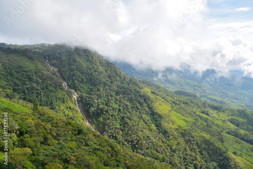 Green and lush jungle with waterfall