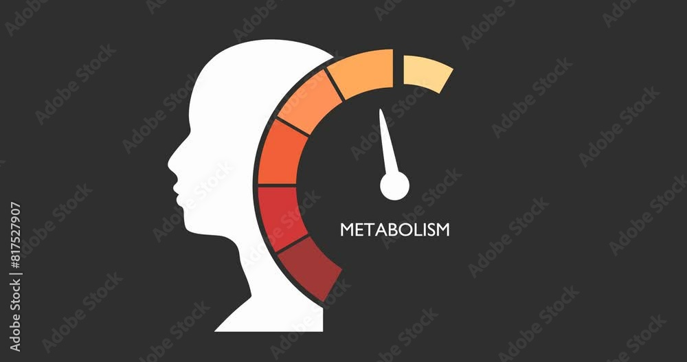 Color scale with arrow from red to green. The metabolism level measuring device icon. Sign tachometer, speedometer, indicators. Colorful infographic gauge element. Head of man silhouette.