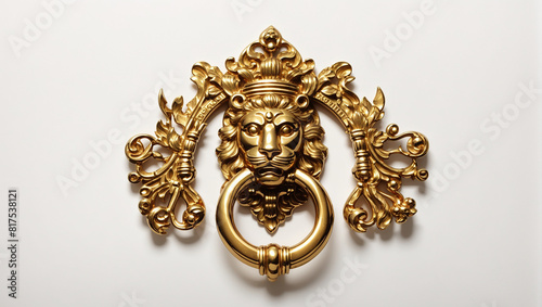 A gold-colored metal door knocker in the form of a lion's head 