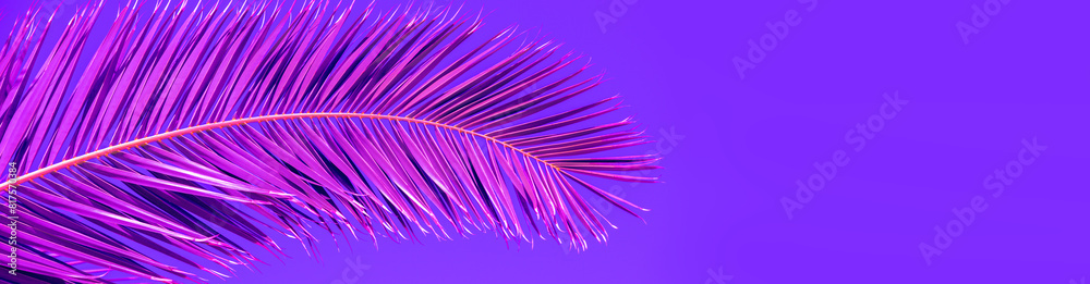 Palm leaves against a background of purple sky. Horizontal banner. Natural background Palm leaves against a background of purple sky. Horizontal banner. Natural background