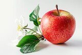 Image of red apple with leaf and flower on light background. Tasty fruit concept.