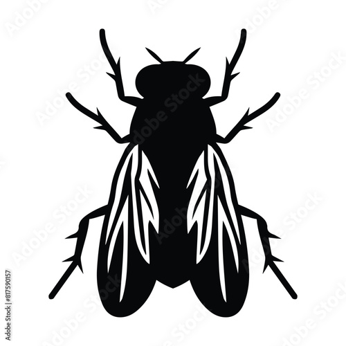 Fly insect vector silhouette