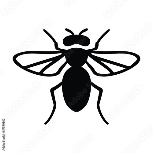 Fly insect vector icon