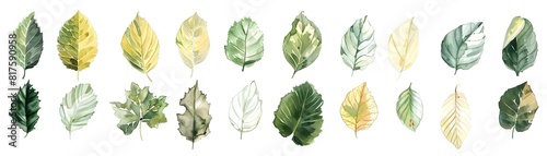 Vintage Style Botanical Wal...