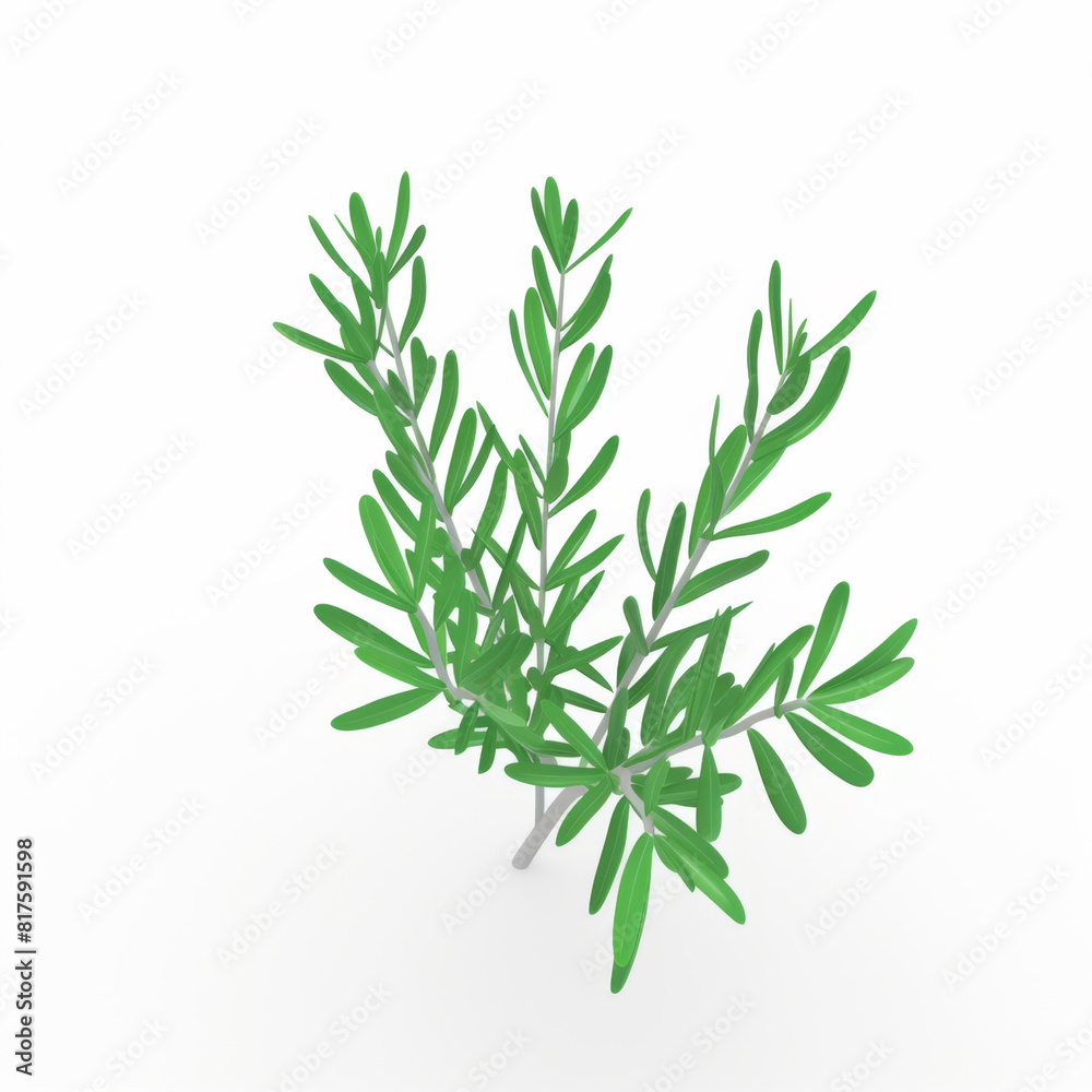 Rosemary branch 3d icon on white background
Rosemary branch 3d icon on white background