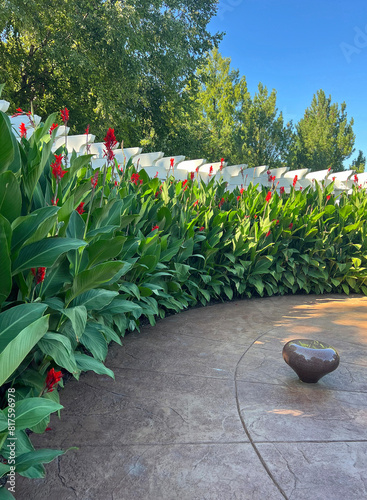 The row of canna flower, Pennsylvania