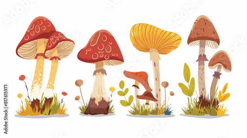Mushrooms Four . Forest fungi. Autumn fall fungus edi