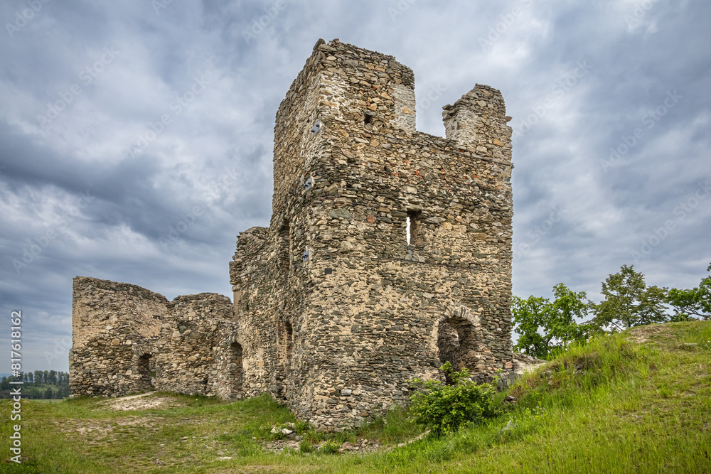 Stony ruins of medieval castle in spring or summer landscape Stony ruins of medieval castle in spring or summer landscape