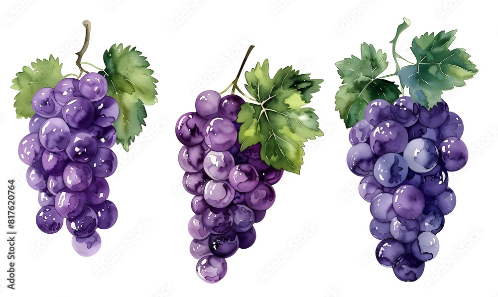 Set of Grapes watercolor collection , Generative AI Set of Grapes watercolor collection , Generative AI