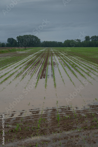 Po Valley