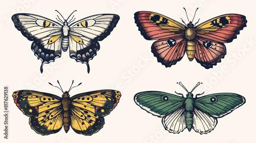 Realistic butterflies Four . Flying insects delicate