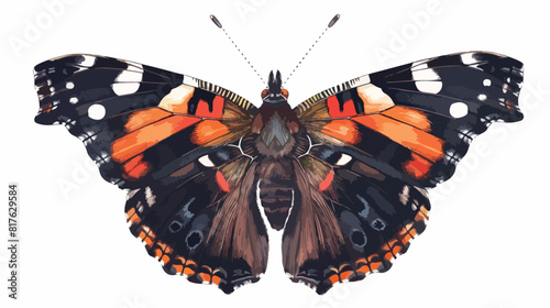 Red admiral admirable butterfly species. Vanessa Atal