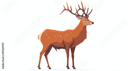Red deer wild horned animal. European forest herbivor