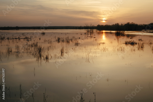 Sunset on a lake with plants