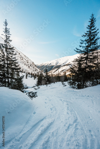 Alpine mountains landscape with white snow and blue sky. Frosty trees under warm sunlight. Wonderful wintry landscape High Tatras, slovakia