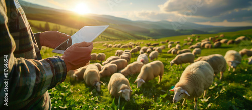 modern farm with technology concept background. young farmer use tablet in the sheeps farm photo