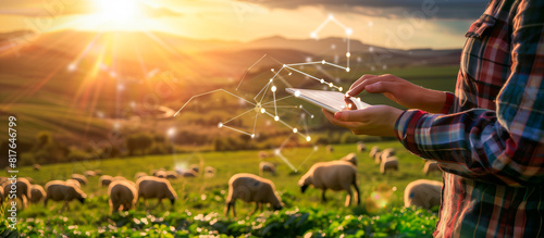 modern farm with technology concept background. young farmer use tablet in the sheeps farm photo