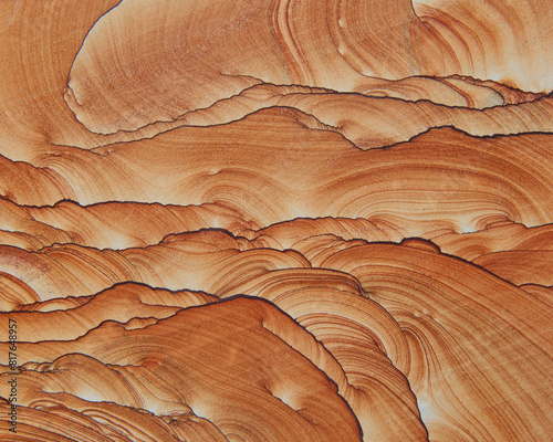 Sandstone creates wonderful shapes and designs, looking like abs photo