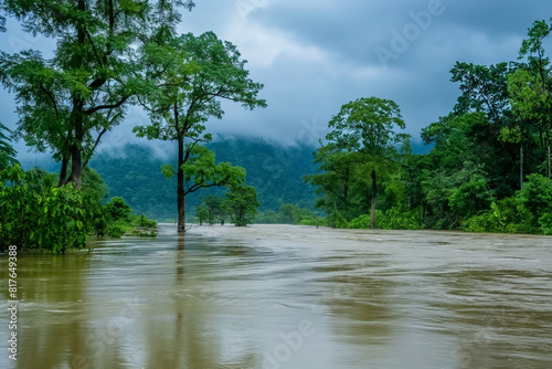 View of swollen river banks during a monsoon  trees partially submerged 