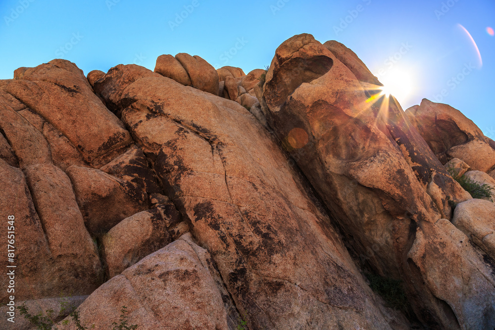 Obraz premium Sunrise on the Rock Formations of Joshua Tree on a Clear Summer Day, Joshua Tree National Park, California