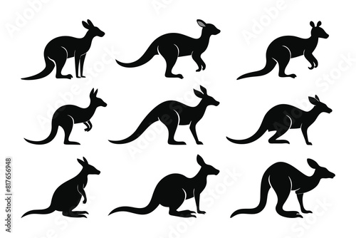 Set of kangaroo Silhouette Design and Vector Illustration on white background