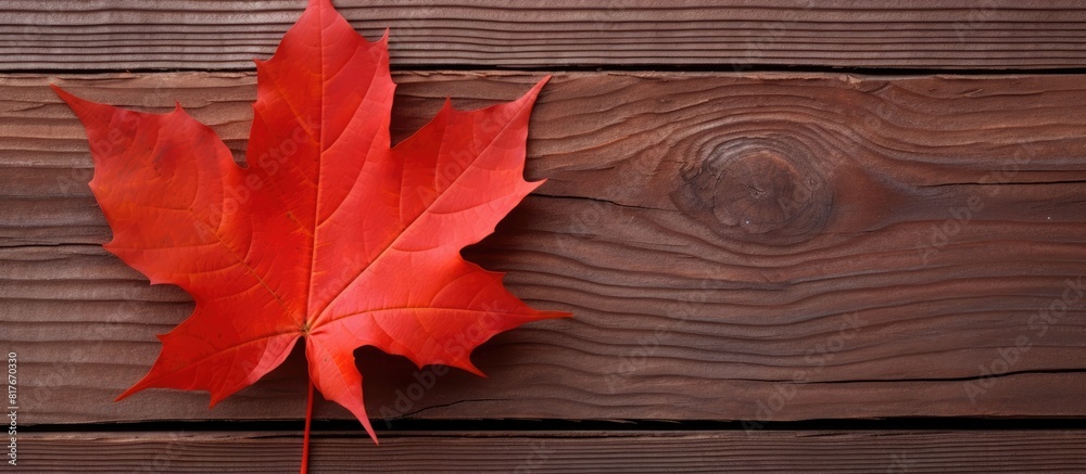 Autumnal red leaf displayed against a wooden backdrop with ample copy space for images Autumnal red leaf displayed against a wooden backdrop with ample copy space for images
