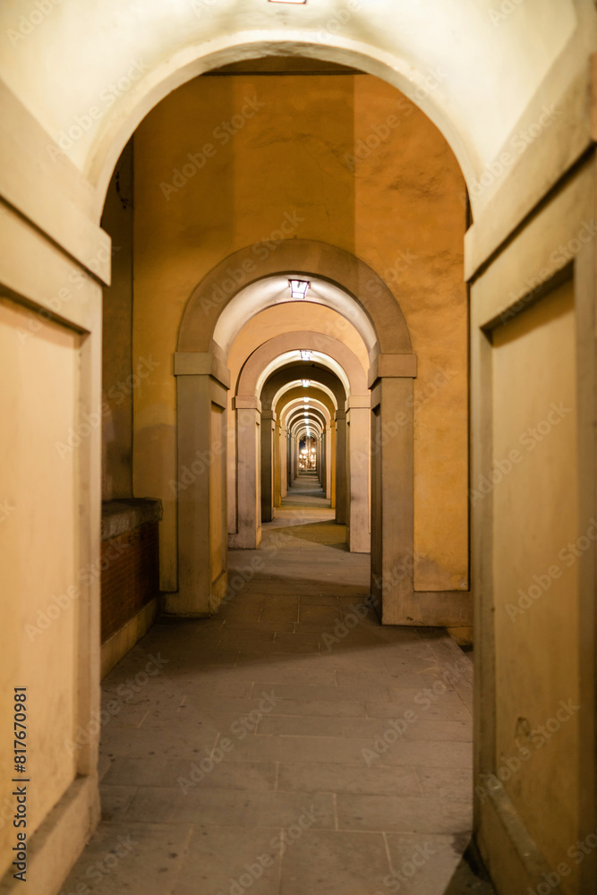 perspective view of a warmly lit archway corridor, creating a deep visual tunnel perspective view of a warmly lit archway corridor, creating a deep visual tunnel