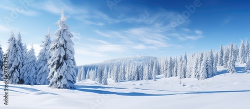 A picturesque winter forest with snow covered pine trees and a clear blue sky offering a beautiful copy space image