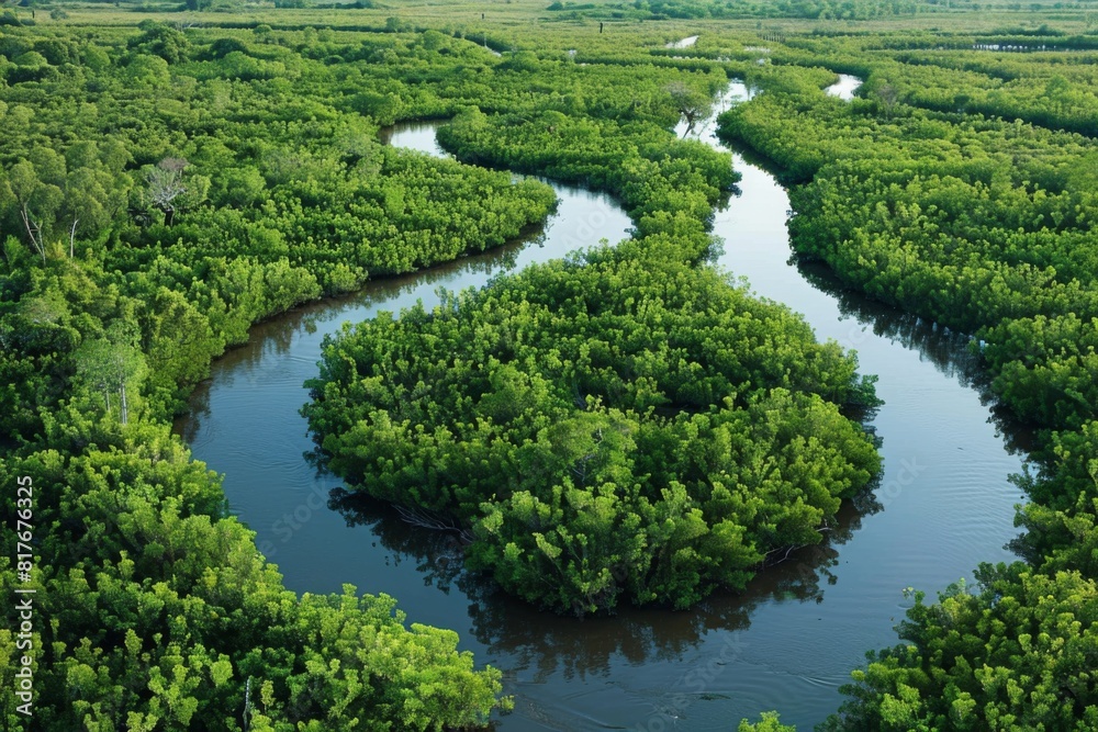 Lush Green Wetlands with Meandering River Lush Green Wetlands with Meandering River