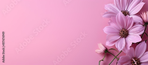 A pink background showcasing flowers with room for additional content